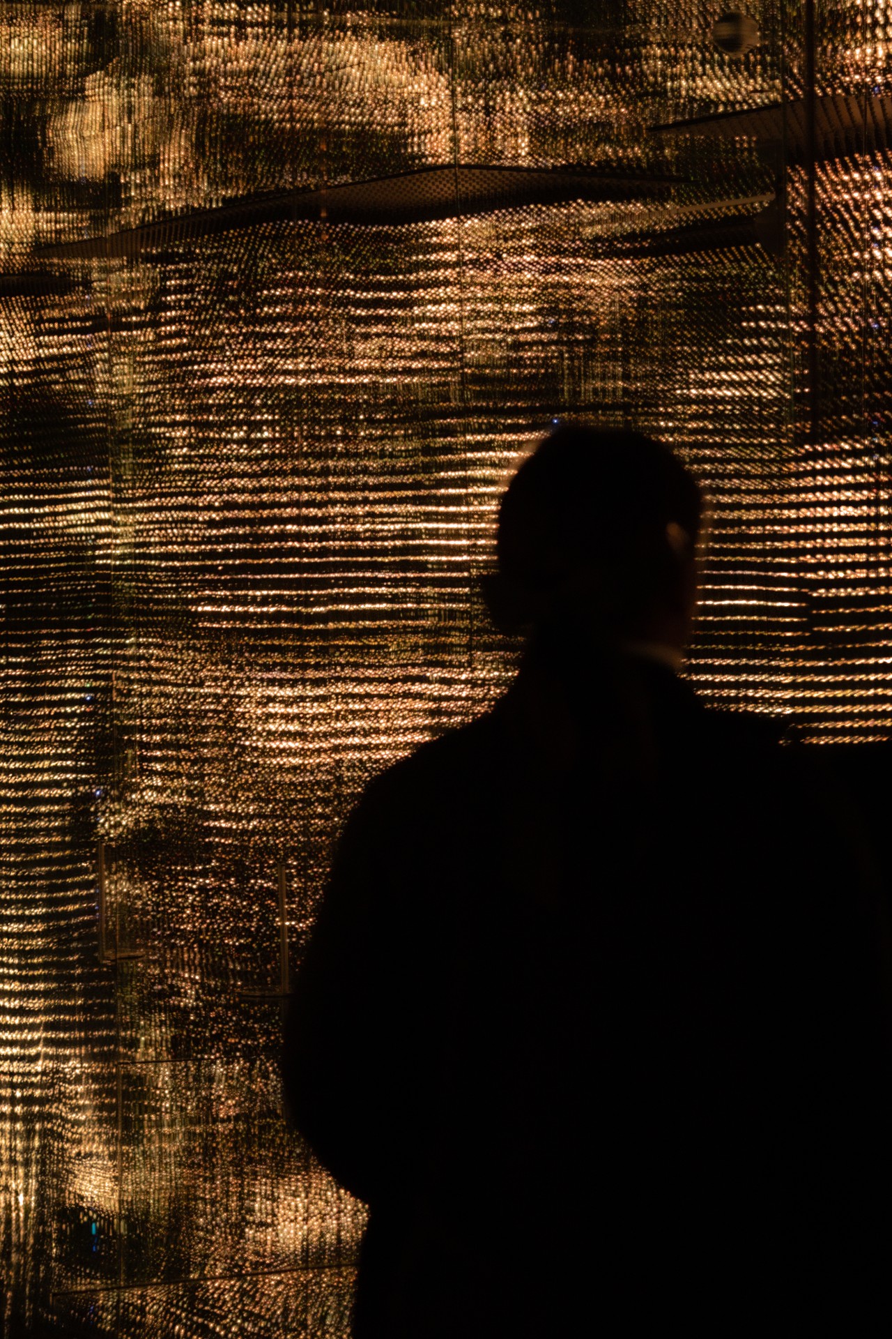 Éducation immersive